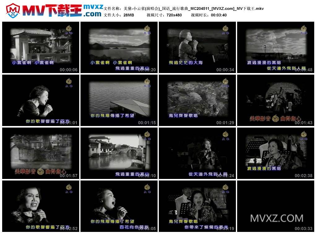美黛-小云雀(演唱会)_国语_流行歌曲_MC204511